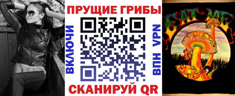 Псилоцибиновые грибы мицелий  Богданович 